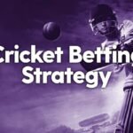 IPL cricket betting app